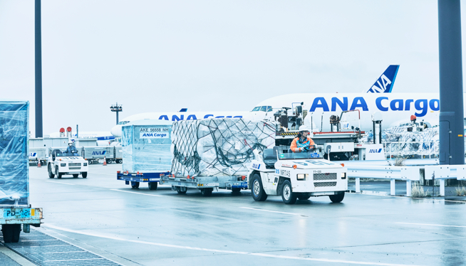 ANA Cargo service_flow_img03