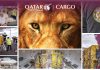 QR Cargo Lions