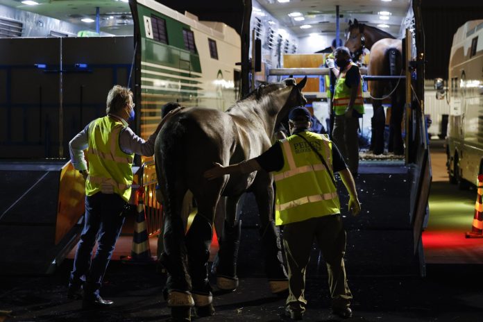 1920_emiratesskycargoworkedwithpedenbloodstockandfei Emirates